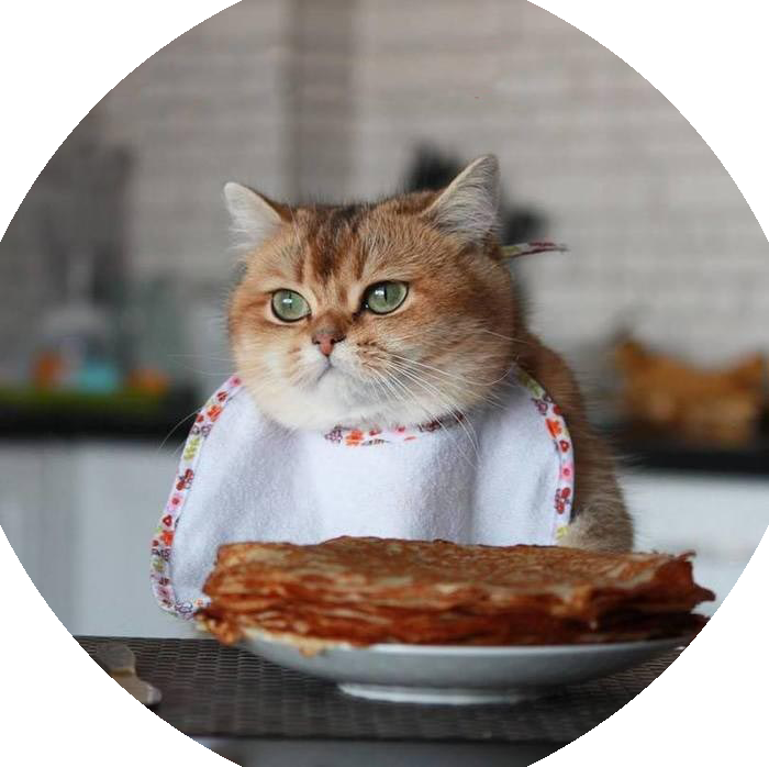 Масленица. Камышовый Кот. Масленица. Камышовый Кот.